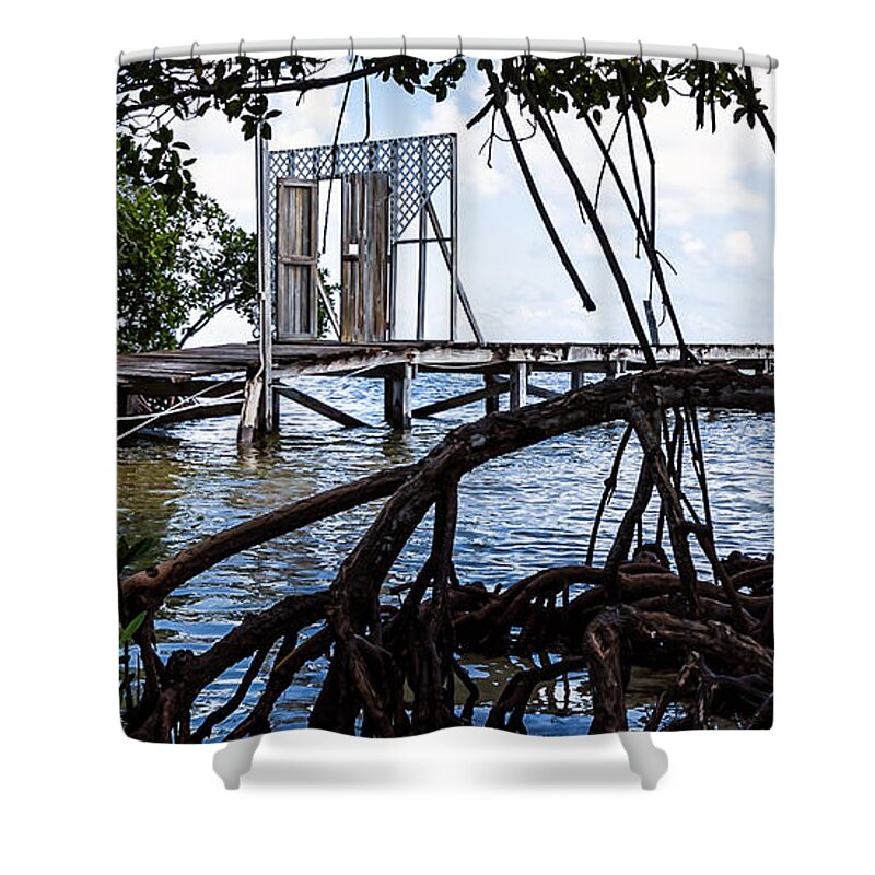 Ambergris Caye Shower Curtain featuring the photograph Lurking in the Shadows by Lawrence Burry