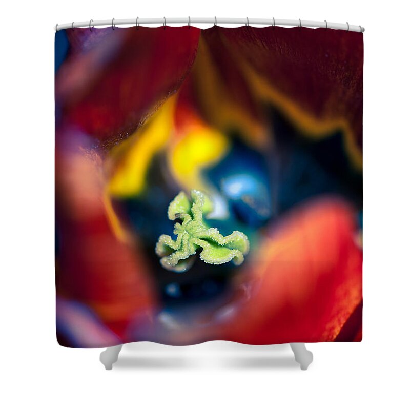 Beauty In Nature Shower Curtain featuring the photograph Luscious Kaleidoscope by Venetta Archer