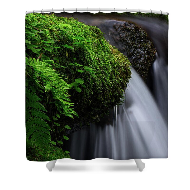 Water Shower Curtain featuring the photograph Lush Cascade by C Renee Martin