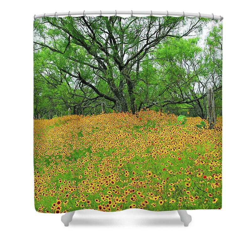 Coreopsis Shower Curtain featuring the photograph Lush Coreopsis by Lynn Bauer