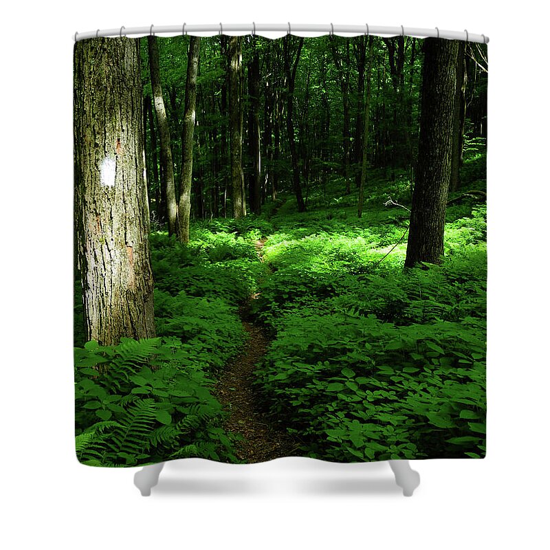 Lush Green At 2 Shower Curtain featuring the photograph Lush Green AT 2 by Raymond Salani III