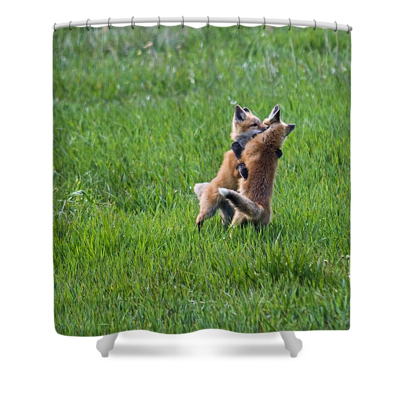 Nature Shower Curtain featuring the photograph Luv by Alana Thrower