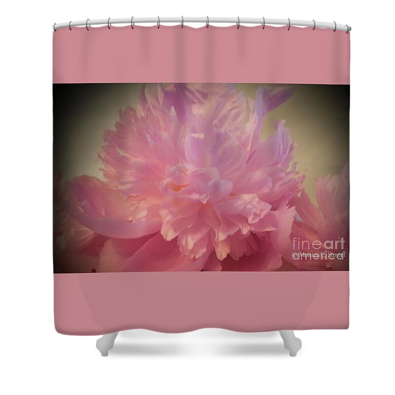 Flowers Shower Curtain featuring the photograph M Shades of Pink Flowers Collection No. P78 by Monica C Stovall