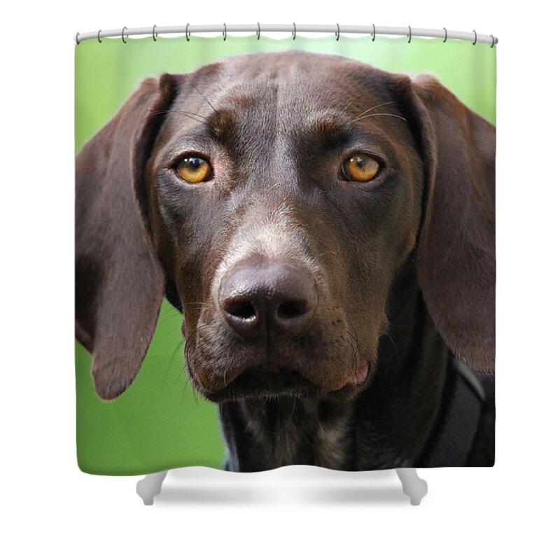 Gsp Shower Curtain featuring the photograph Macie Face by Brook Burling