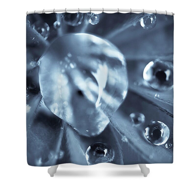Dew Shower Curtain featuring the photograph Macro - Water Drops by Danielle Silveira