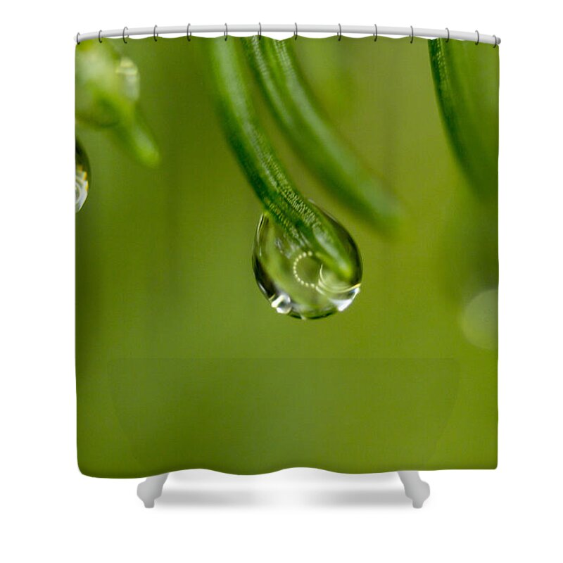 Macro Shower Curtain featuring the photograph Macro Droplets by Tammy Chesney