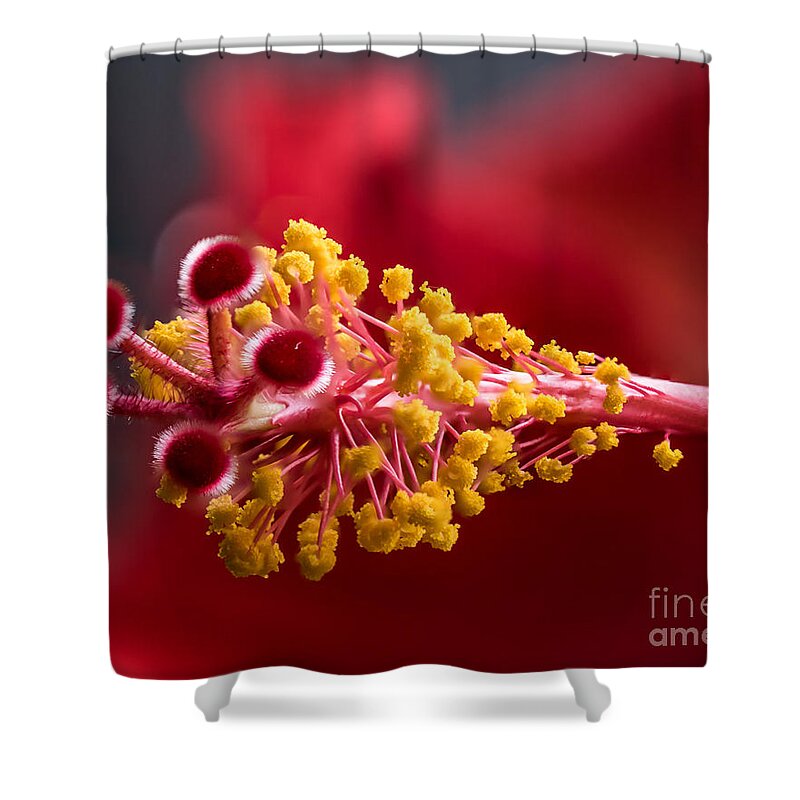 Flower Shower Curtain featuring the photograph Macro Flower by Marc Champagne