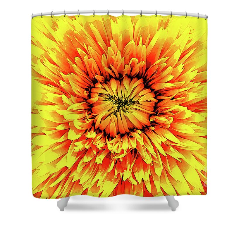 Macro Shower Curtain featuring the digital art Macro Flower Petals by Phil Perkins