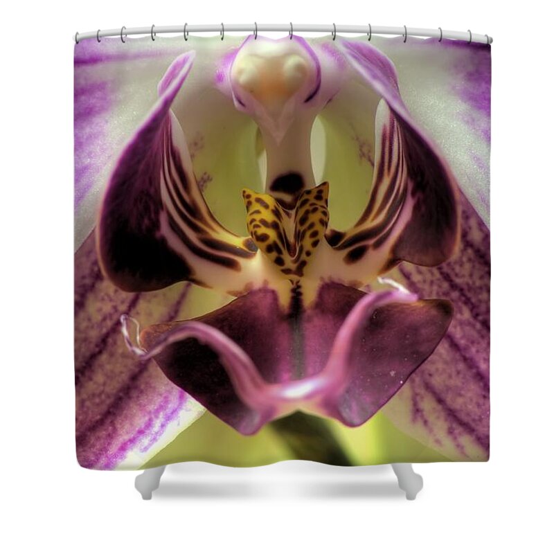 Hdr Shower Curtain featuring the photograph Macro Orchid by Brad Granger