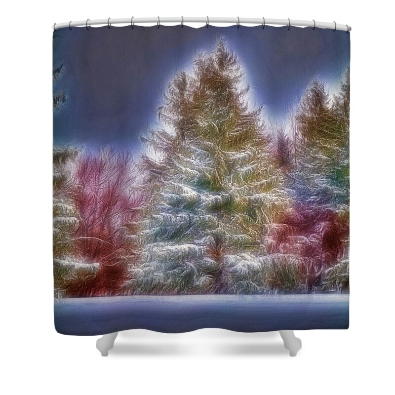 Merry Christmas Shower Curtain featuring the photograph Merrry Christmas and Happy New Year by Jim Lepard
