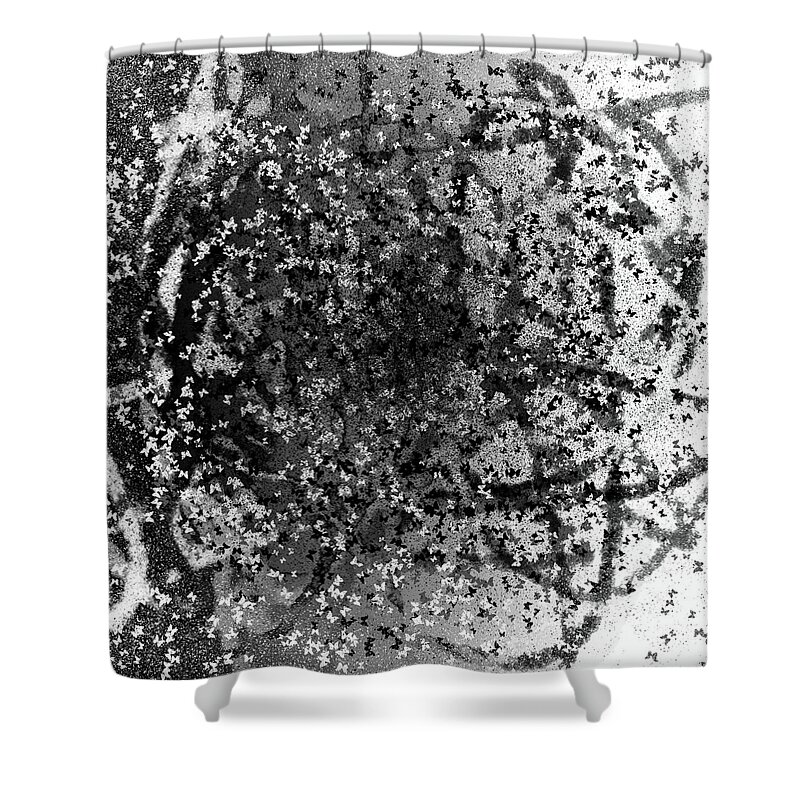 Meditation Shower Curtain featuring the photograph Maestro Monarch by Gary Sumner