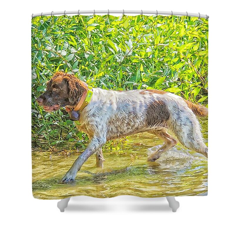 Maggie Shower Curtain featuring the photograph Guard Dog Maggie Stride by Constantine Gregory