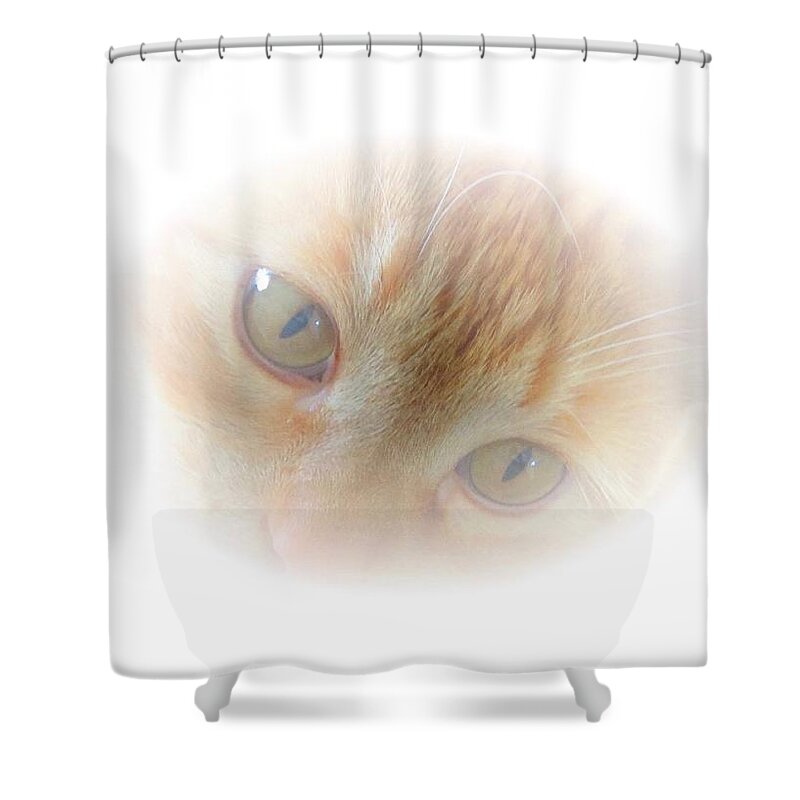 American Shower Curtain featuring the photograph Magic Eyes by Judy Kennedy