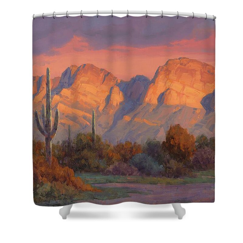 Arizona Art Shower Curtain featuring the painting Magic Hour by Cody DeLong