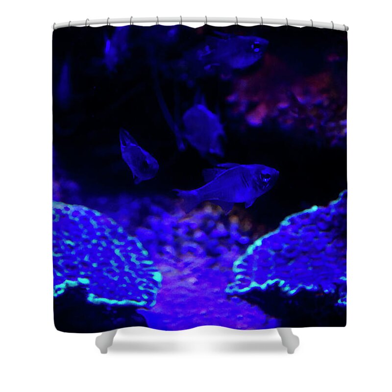 Coral Shower Curtain featuring the photograph Magic Under Water by Miroslava Jurcik