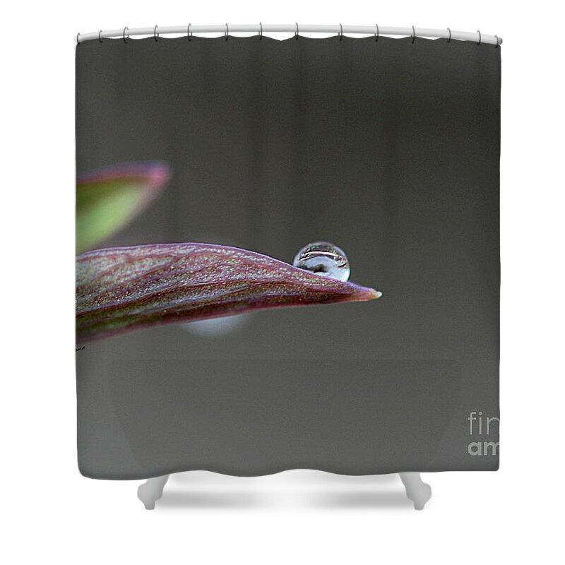 Droplets Shower Curtain featuring the photograph Magical ball by Yumi Johnson