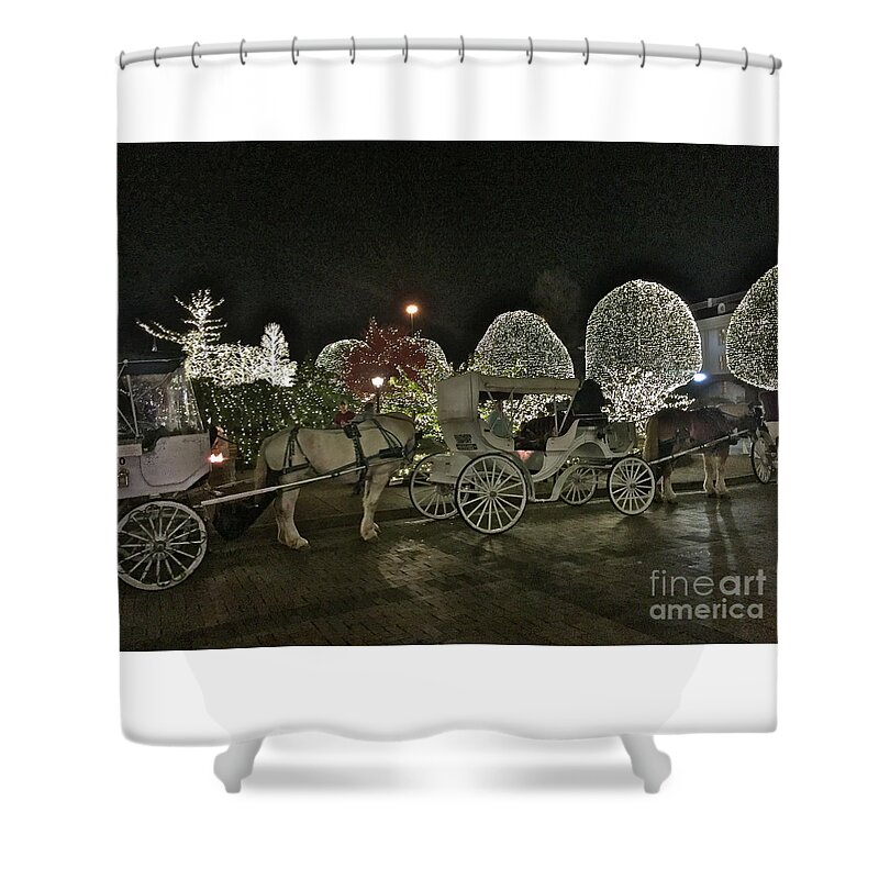 Carriage Ride Shower Curtain featuring the photograph Magical Carriage Ride by Barbara Plattenburg