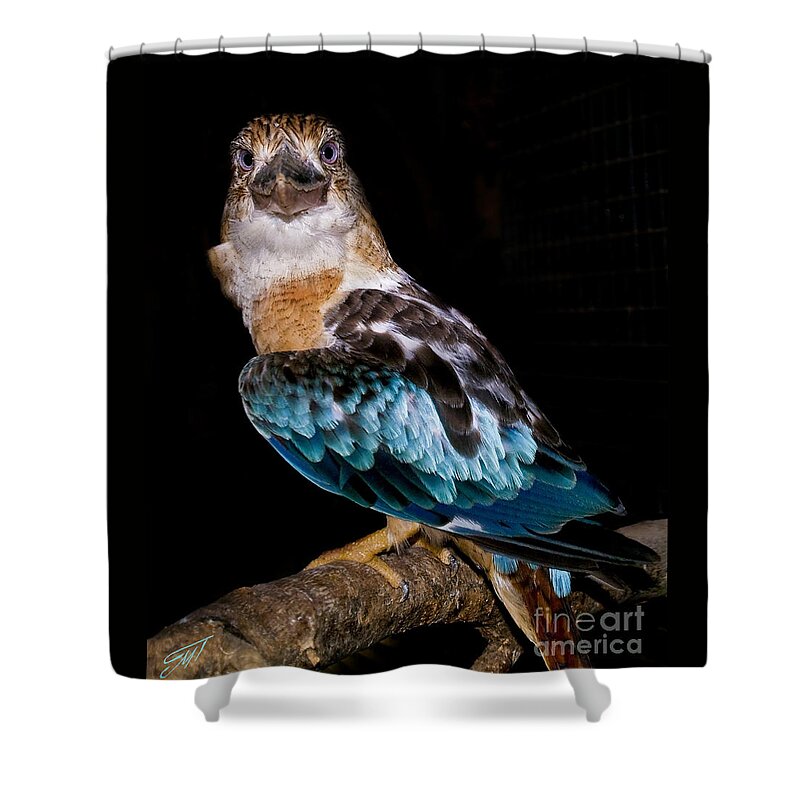 Magisterial Shower Curtain featuring the photograph Magisterial by Art by Magdalene