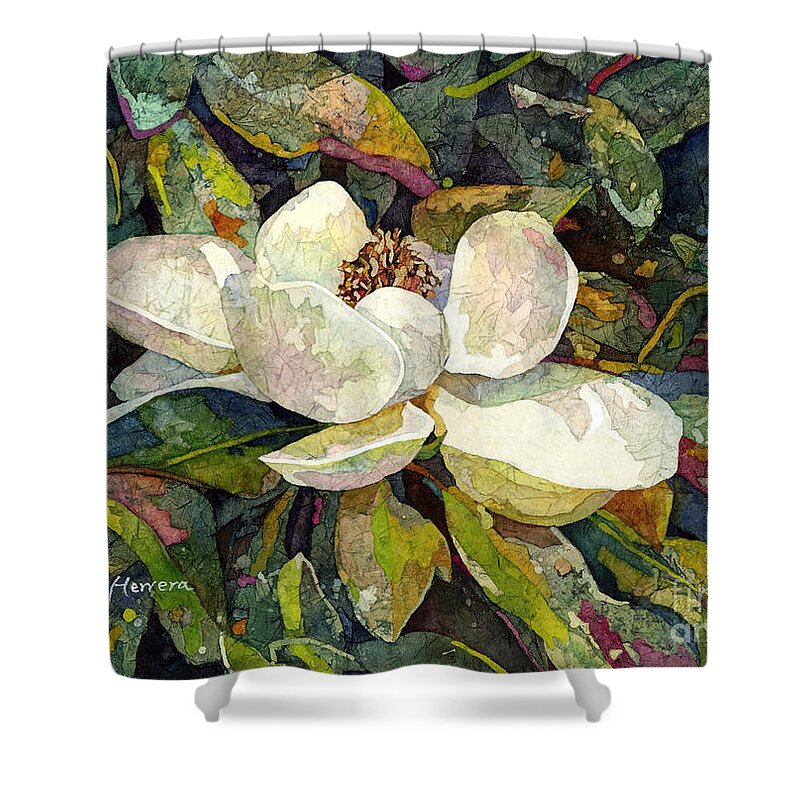 Magnolia Shower Curtain featuring the painting Magnolia Blossom by Hailey E Herrera