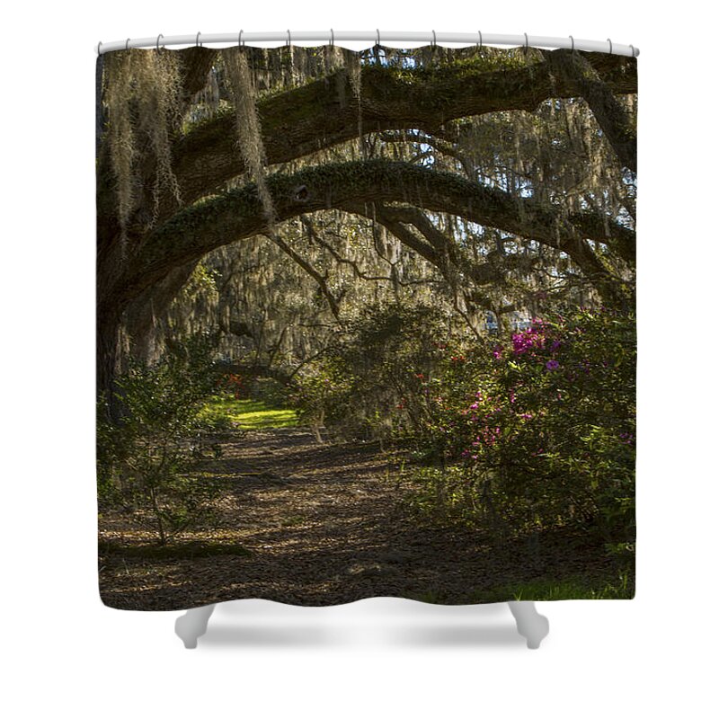 Live Oaks Shower Curtain featuring the photograph Magnolia Plantation by Jeff Shumaker