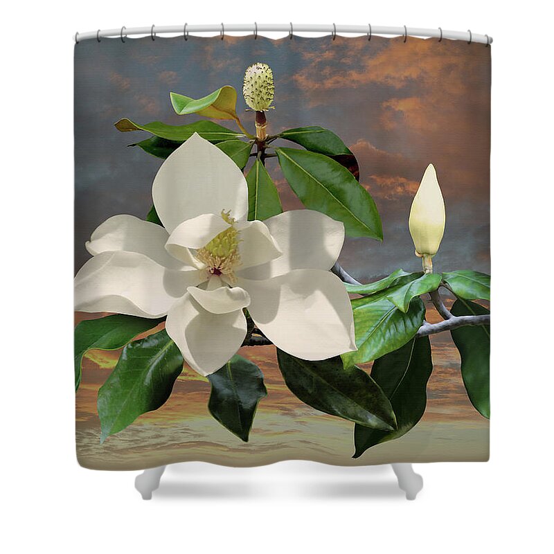 Flower Shower Curtain featuring the digital art Magnolia Sunset by M Spadecaller