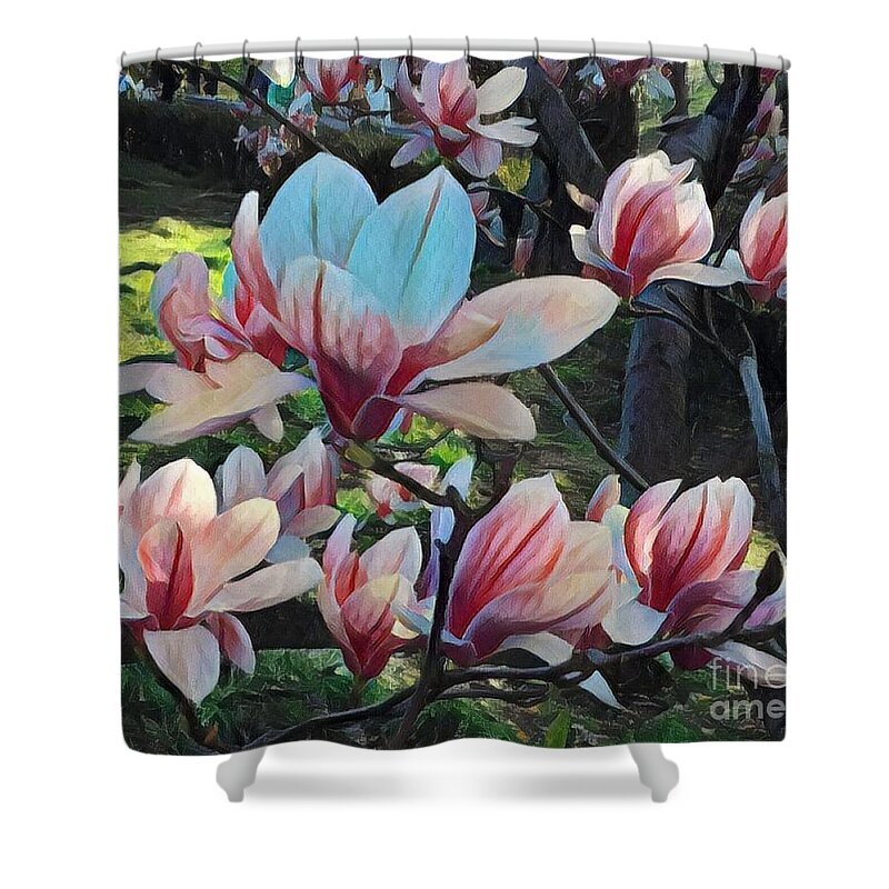 Flowers Shower Curtain featuring the photograph Magnolias in Shade - Central Park in Spring by Miriam Danar