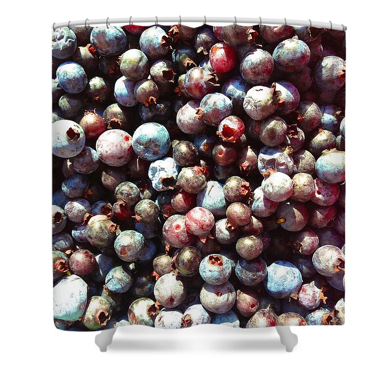  Shower Curtain featuring the photograph Maine Blueberries by Polly Castor
