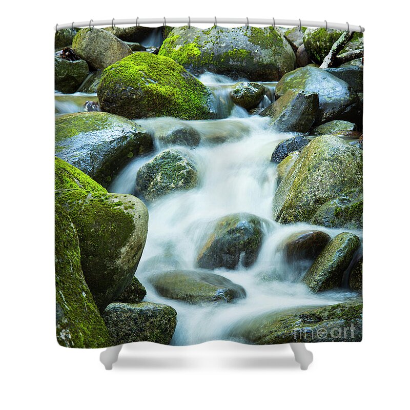 Maine Shower Curtain featuring the photograph Maine Waters by Alana Ranney