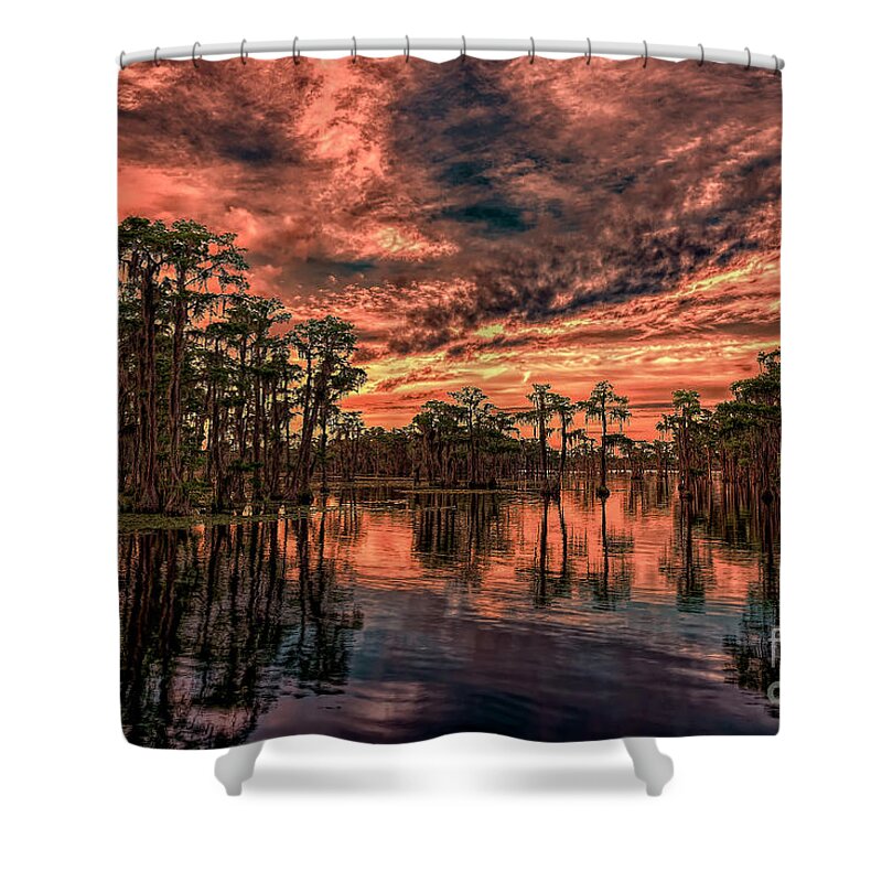 Sunsets Shower Curtain featuring the photograph Majestic Cypress Paradise Sunset by DB Hayes