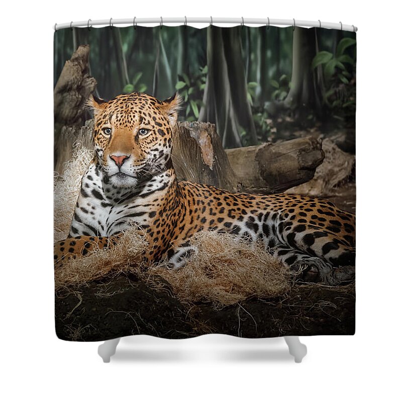 Animal Shower Curtain featuring the photograph Majestic Leopard by Scott Norris
