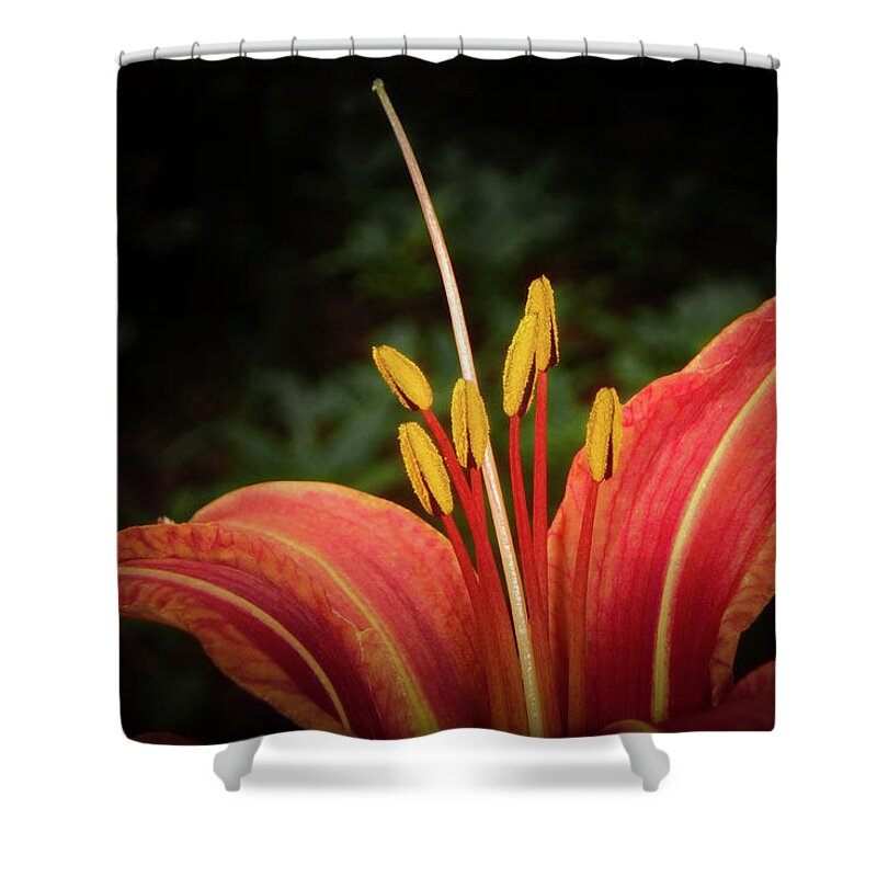 Majestic Shower Curtain featuring the photograph Majestic Lily by Judy Hall-Folde