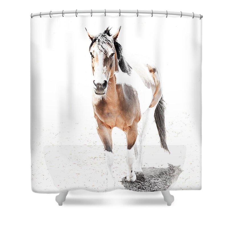 Pinto Brown Horse Print Shower Curtain featuring the photograph Majestic Painted Horse by Jerry Cowart