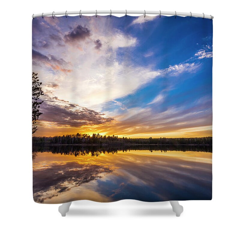 Wi Shower Curtain featuring the photograph Majestic by Todd Reese