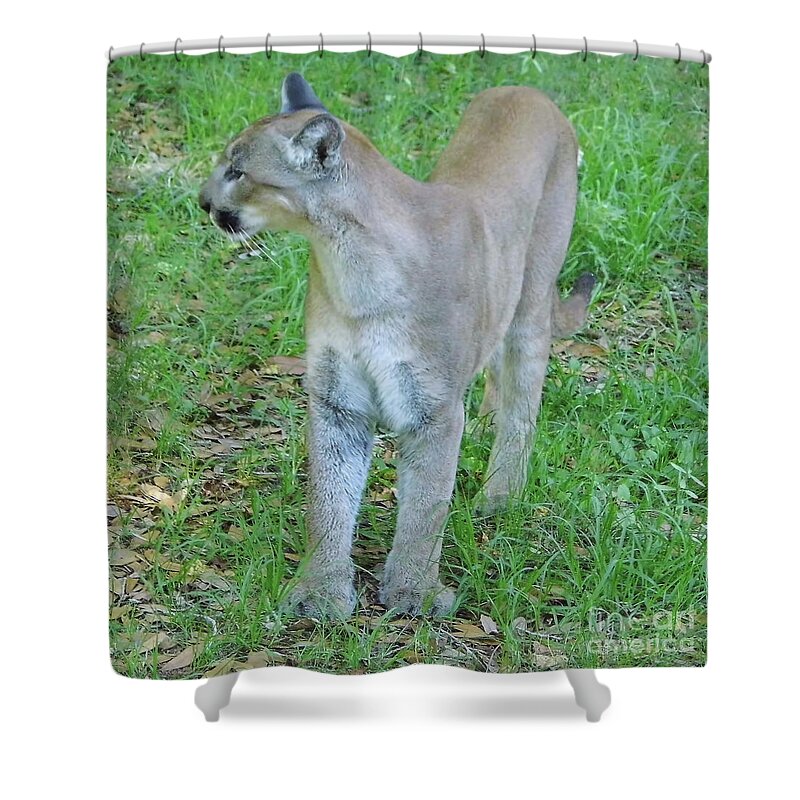 Panther Shower Curtain featuring the photograph Majestic Yuma by D Hackett