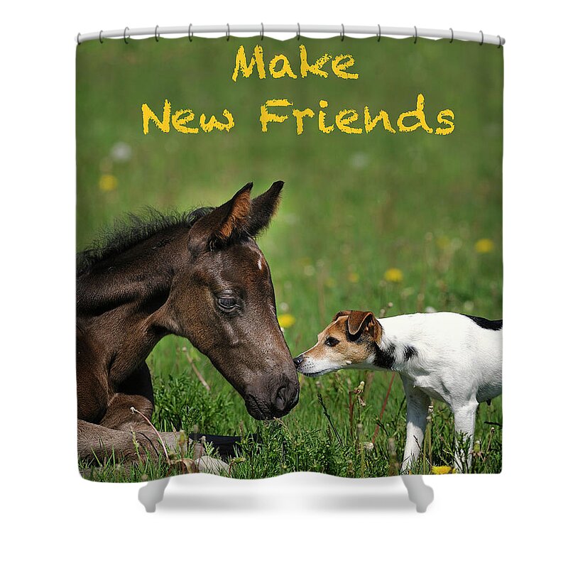 Foal Shower Curtain featuring the photograph Make New Friends by Shawn Hamilton