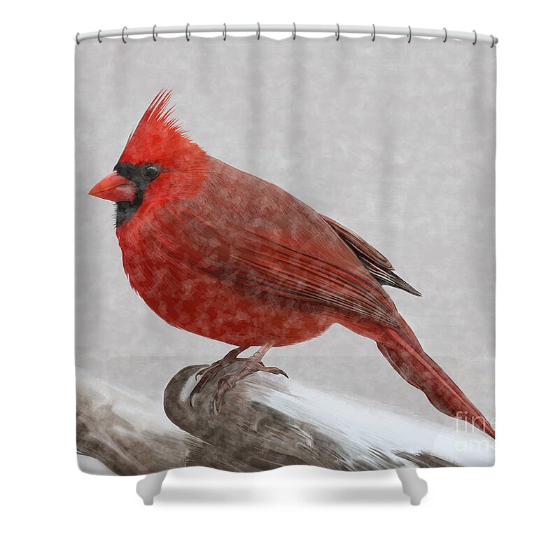 Cardinal Shower Curtain featuring the painting Male Cardinal in snow by Rand Herron