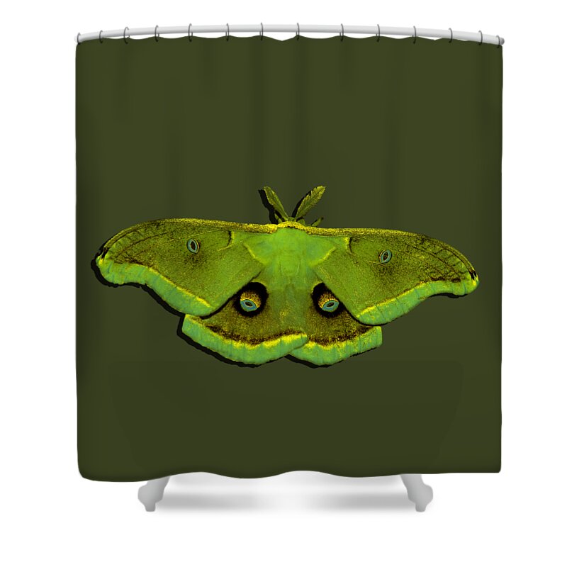 Polyphemus Moth Shower Curtain featuring the photograph Male Moth Green and Yellow .png by Al Powell Photography USA