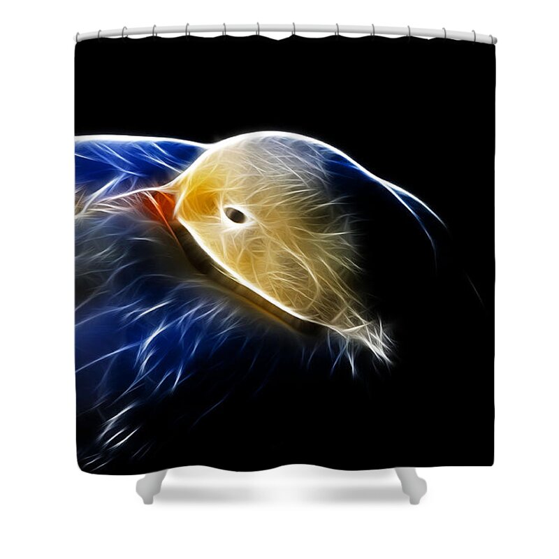 Bird Shower Curtain featuring the photograph Mallard Duck Fractal by Lawrence Christopher