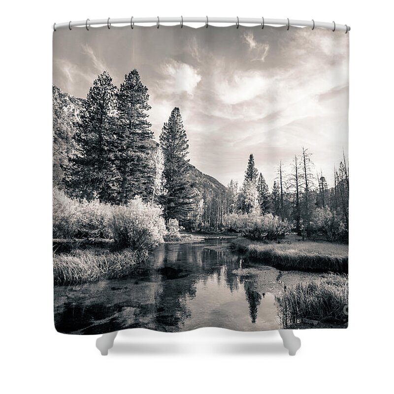 Mammoth Lakes Shower Curtain featuring the photograph Mammoth Lakes-BW by Francine Collier