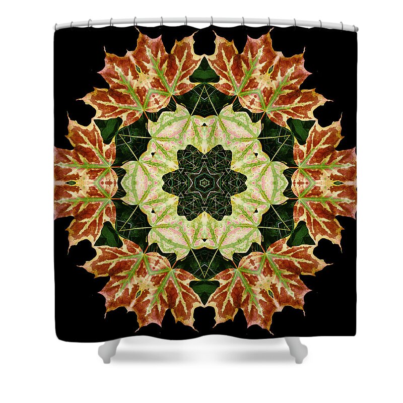 Autumn Shower Curtain featuring the photograph Mandala Autumn Star by Nancy Griswold