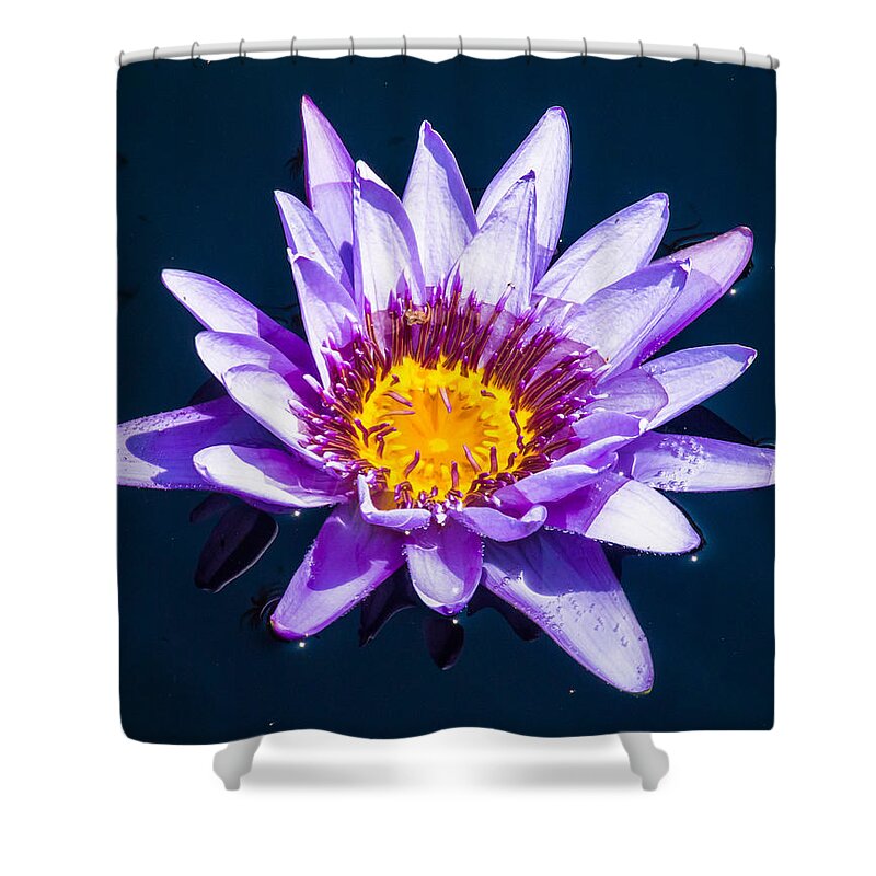 Water Lilly Shower Curtain featuring the photograph Surounded by Charles McCleanon