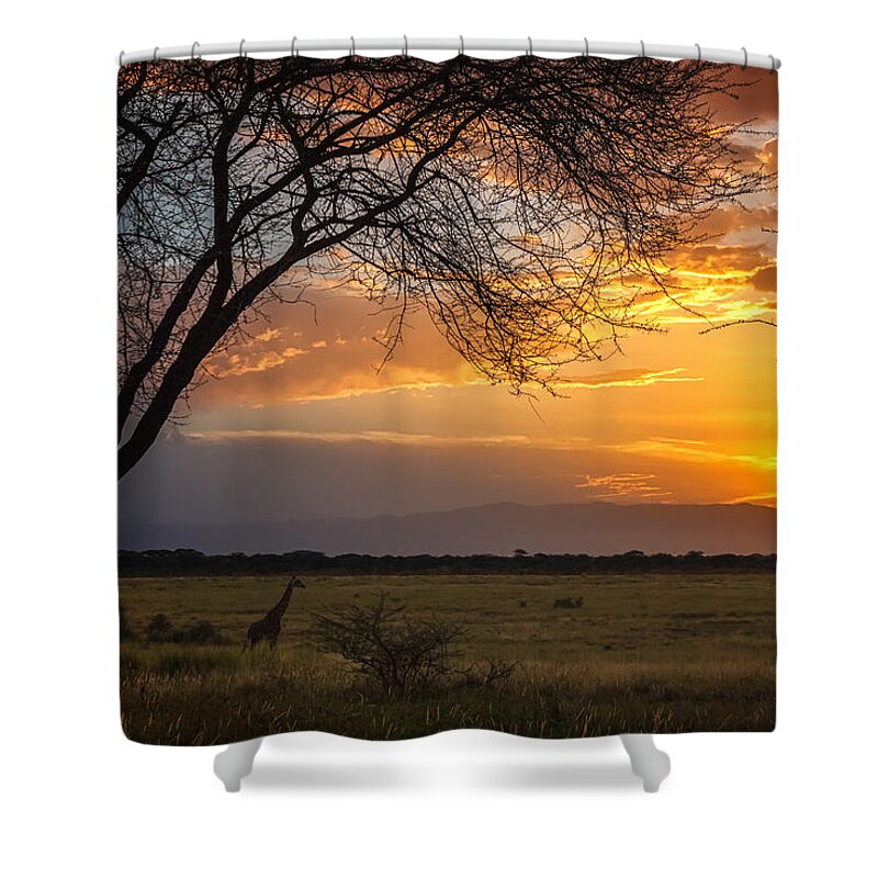 Africa Shower Curtain featuring the photograph Manyara Ranch Sunset by Sylvia J Zarco