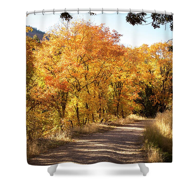 Maple Dell Shower Curtain featuring the photograph Maple Dell in Autumn by K Bradley Washburn