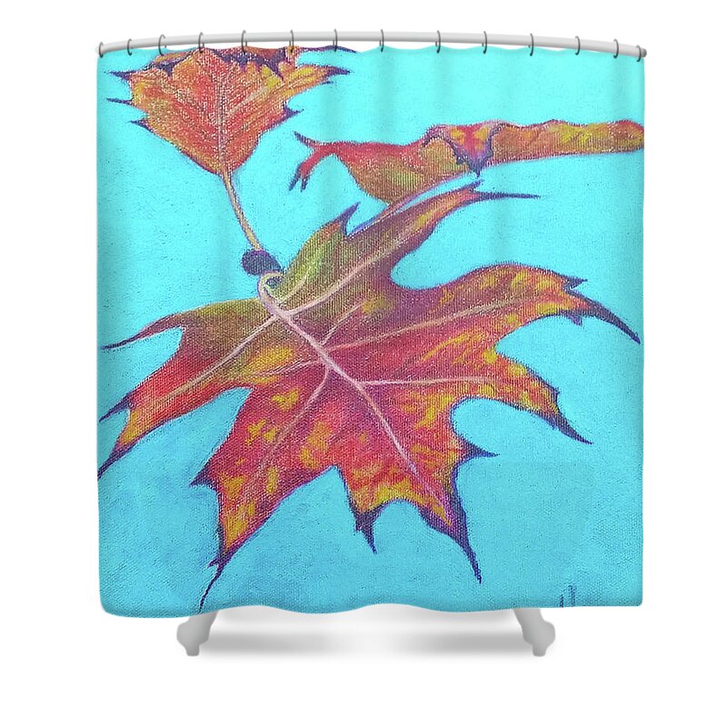 Maple Shower Curtain featuring the drawing Drifting into Fall by Phyllis Howard