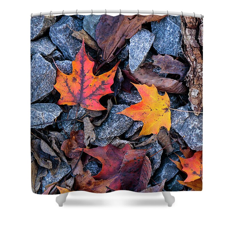 Autumn Shower Curtain featuring the photograph Maple Rocks by Todd Bannor