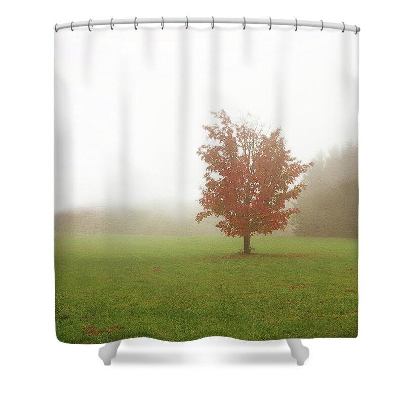 Maple Shower Curtain featuring the photograph Maple Tree in Fog with Fall Colors by Brooke T Ryan