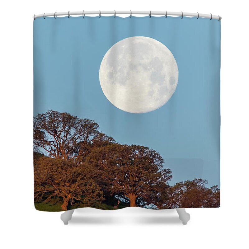 Landscape Shower Curtain featuring the photograph March Moonset by Marc Crumpler
