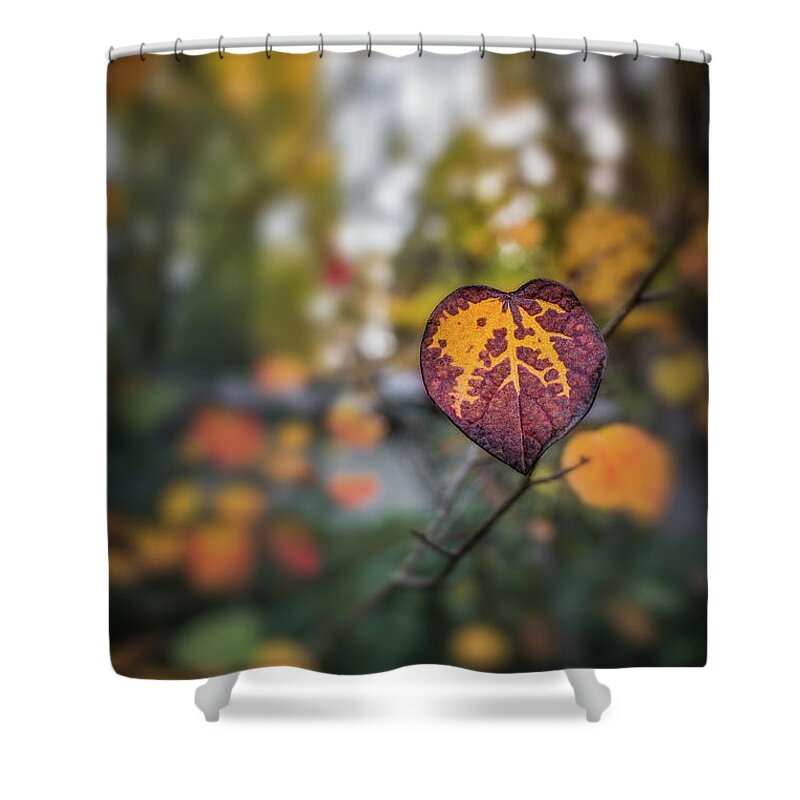 Landscape Shower Curtain featuring the photograph Marked by Gene Garnace