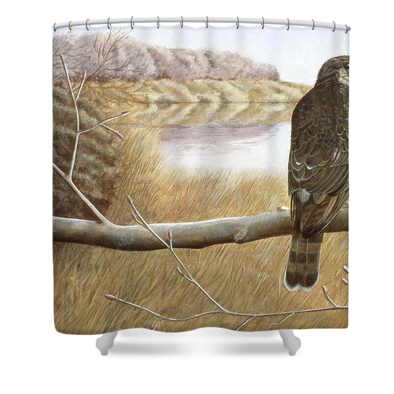  Shower Curtain featuring the painting Marsh Hawk by Laurie Stewart