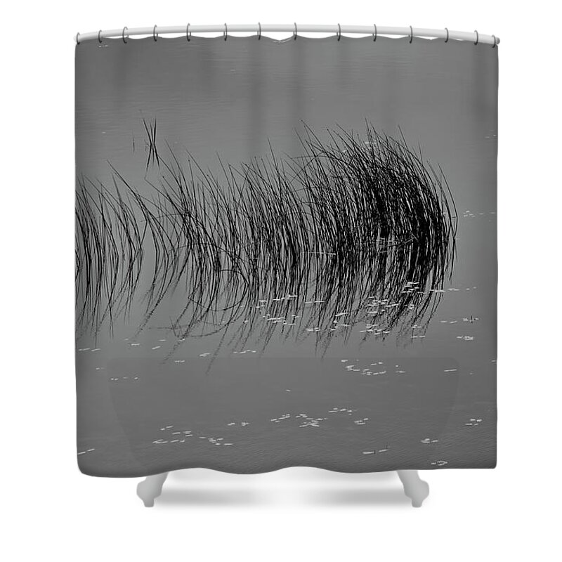 Outdoor Shower Curtain featuring the photograph Marsh Reflection by Albert Seger